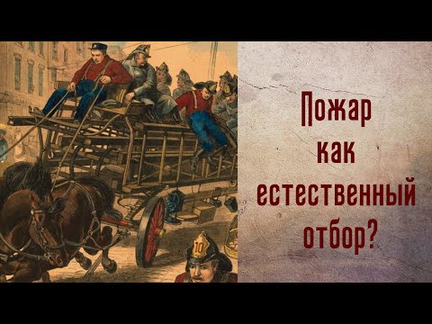 Пожар как естественный отбор? Материалы к теме 'Явление - пожар'