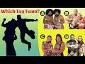 Can You Guess &quot;WWE Tag Team&#39;s  Name by Their Finishing Moves&quot; ?