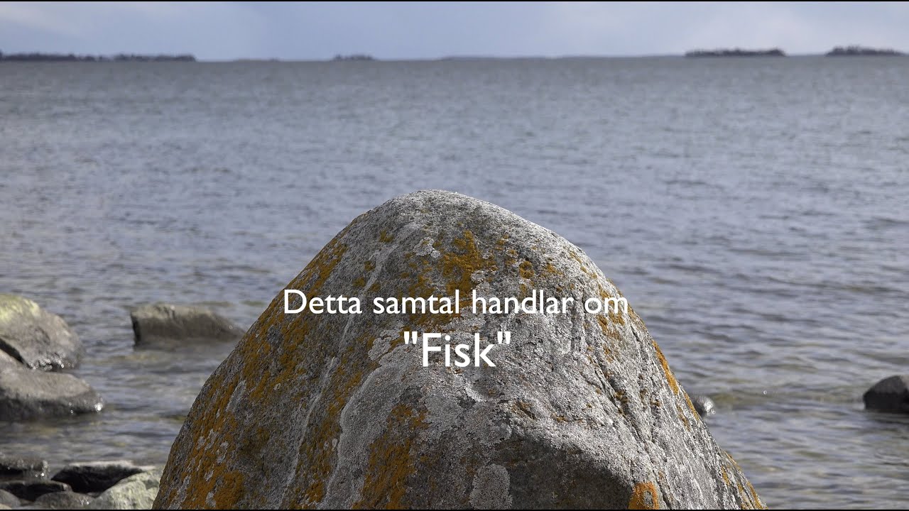 Rädda Östersjön - panelsamtal om överfiske