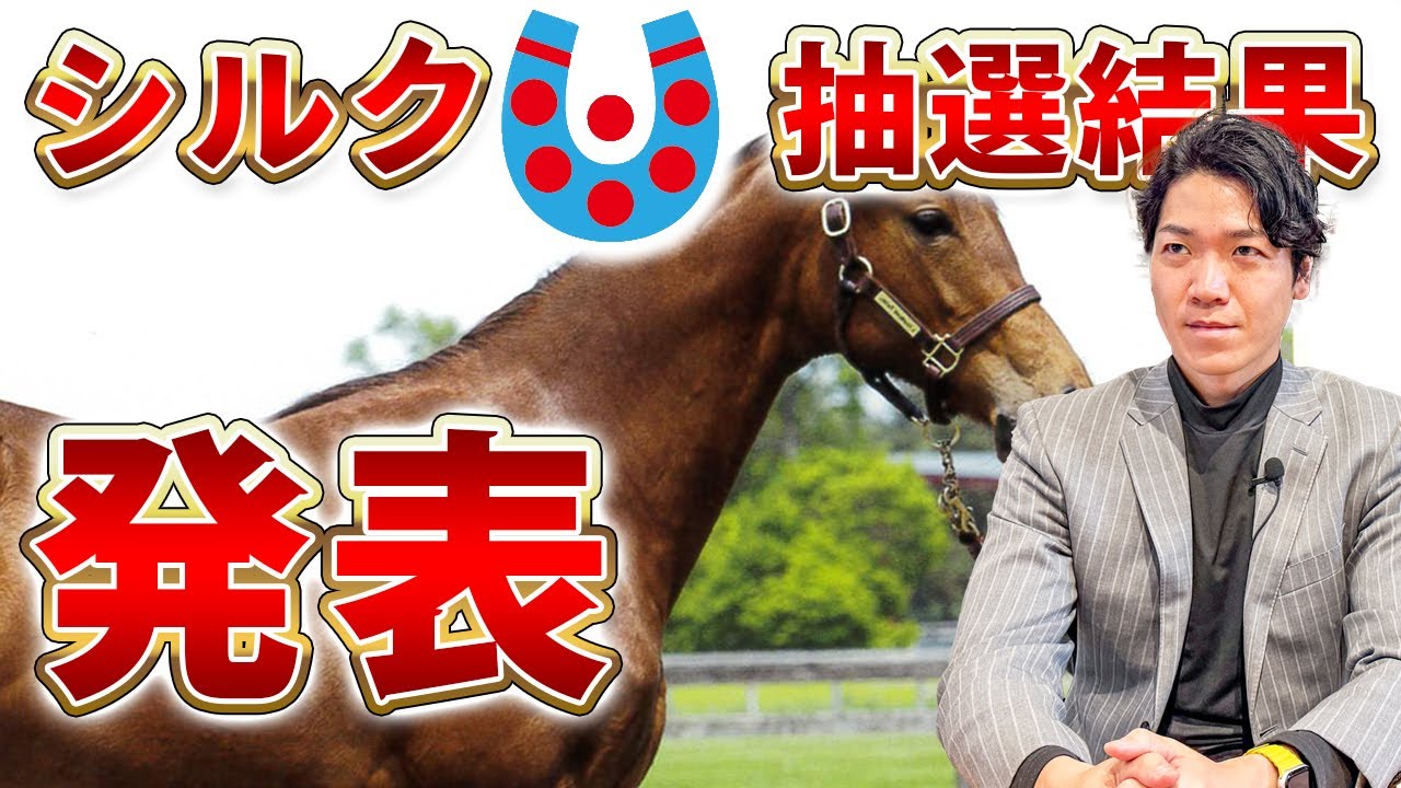 【一口馬主】シルクで出資申し込みをした結果