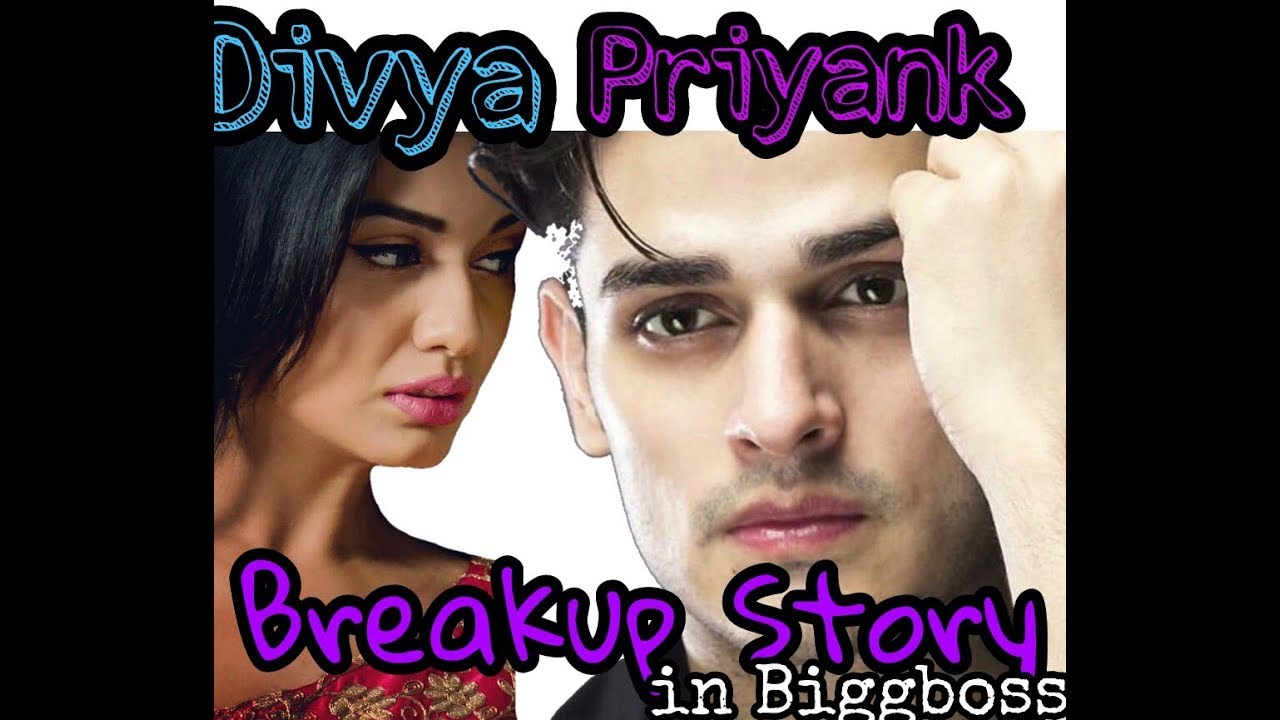 Divya and priyank converation on bb11