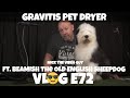 Vlog E72 - Gravitis Pet Dryer ft Beamish the Old English Sheepdog