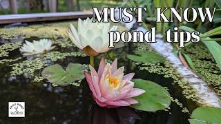 10 Things You’re Doing Wrong with Your Backyard Pond
