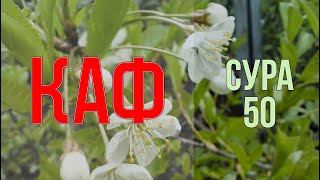 Сура КАФ -  Чтение и смысловой перевод | КРАСИВОЕ ЧТЕНИЕ КОРАНА ДЛЯ ДУШИ