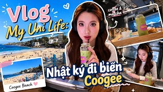 Vlog My Uni Life: Nhật ký đi biển Coogee