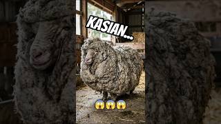 Anatomi 3 Hewan Ini Justru Bisa Membunuh Mereka Sendiri 😱