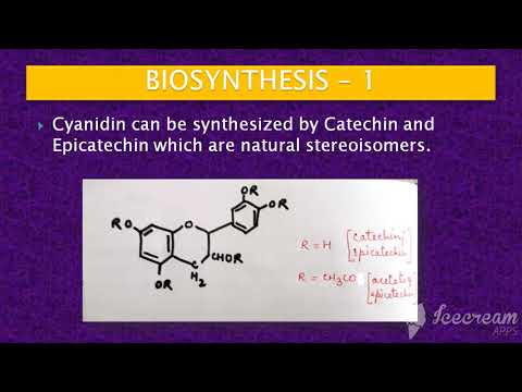 M.Sc. LESSON : Cyanidin - Part 2