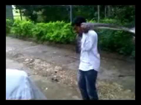 python attack in goa....jus missed!!!
