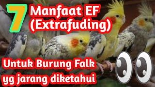 7 sayuran yang jarang diketahui untuk burung (Falk)