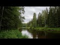Flowing River Ambience 🌊 Peaceful Sound for Meditation, Focus, and Deep Relaxation #704