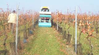 Decompattatore Modello Dar C