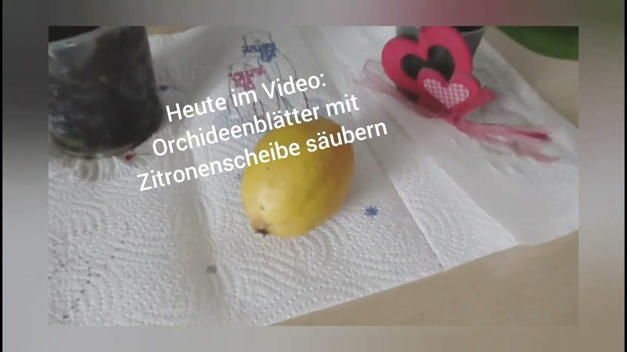 Orchideenbltter mit einer Zitrone subern - YouTube