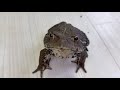 ついに理想のパートナーが見つかりました