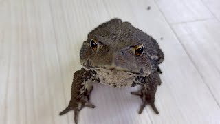 ついに理想のパートナーが見つかりました