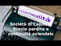 Rinvio Perdite 2020 / 2021 e Continuità Aziendale