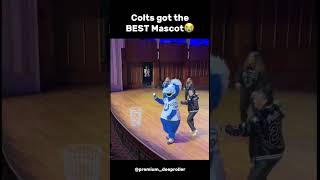 Colts got the BEST Mascot😭 #nfl #football #indianapoliscolts #colts #funny #mascot #indianapolis