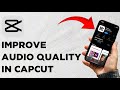 How to Remove Background Audio Noise In Capcut