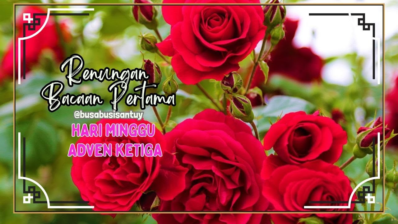 RENUNGAN BACAAN PERTAMA HARI MINGGU ADVEN III (U), TAHUN C, KITAB YESAYA 35:1-6a.10