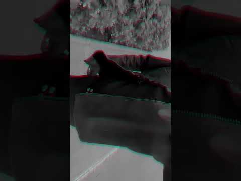 my new video