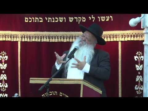 האם האדם בא מקוף | הרב דניאל זר