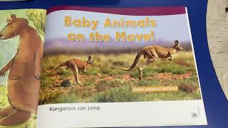 Baby Animals on the Move! Nonfiction Read aloud