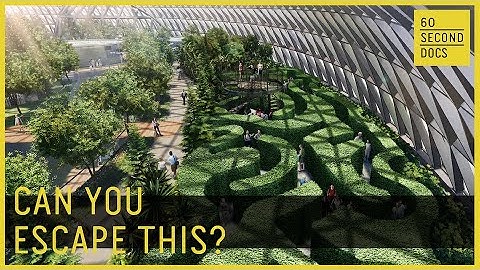 Master Maze Maker | Adrian Fisher