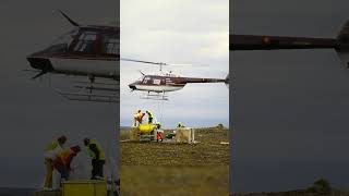 🐭🔥 The Rat War on Campbell Island #Infestation #Shocking