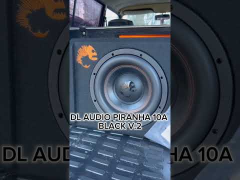 DL AUDIO PIRANHA