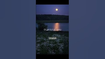 سوره الانسان #اكسبلور #فلسطين_حرة #لايك #tiktok #تيك_توك #شيخ_محمد_اللحيدان#قران_كريم #راحة_نفسية