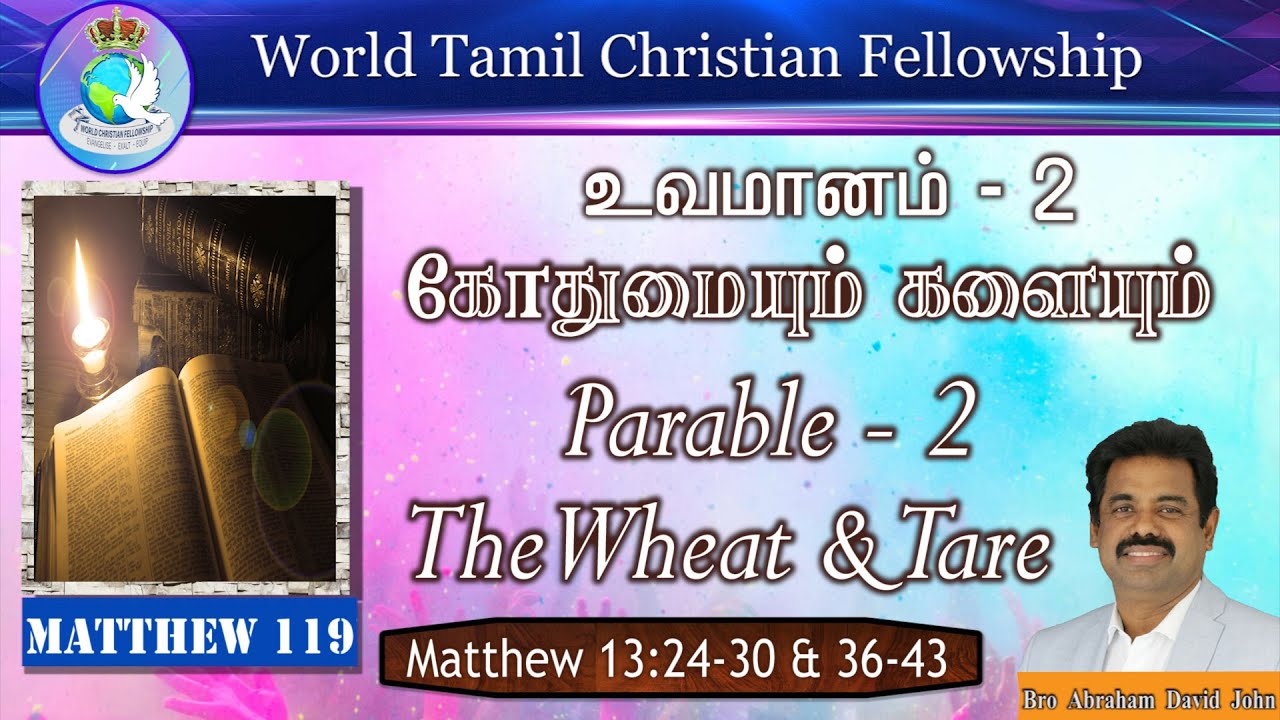 The Wheat & Tare