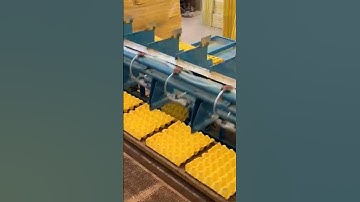 #eggtray #machine cheap price egg tray machine for sale big capacity egg trays+8618438061007