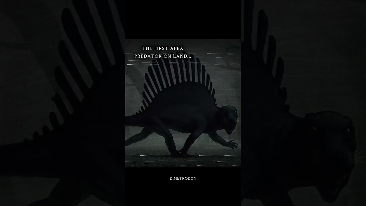 The first apex predator on land... 