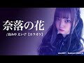 耳コピ動画 奈落の花 島みやえい子 カラオケ オフボーカル ガイドなし 耳コピ動画 奈落の花 島みやえい子 カラオケ オフボーカル ガイドなし