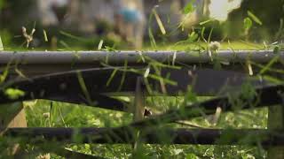 Landscaping, Lawn Care & Irrigation Professionals in Redding CA