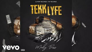 Medz boss - Tekk lyfe (Audio Visual)