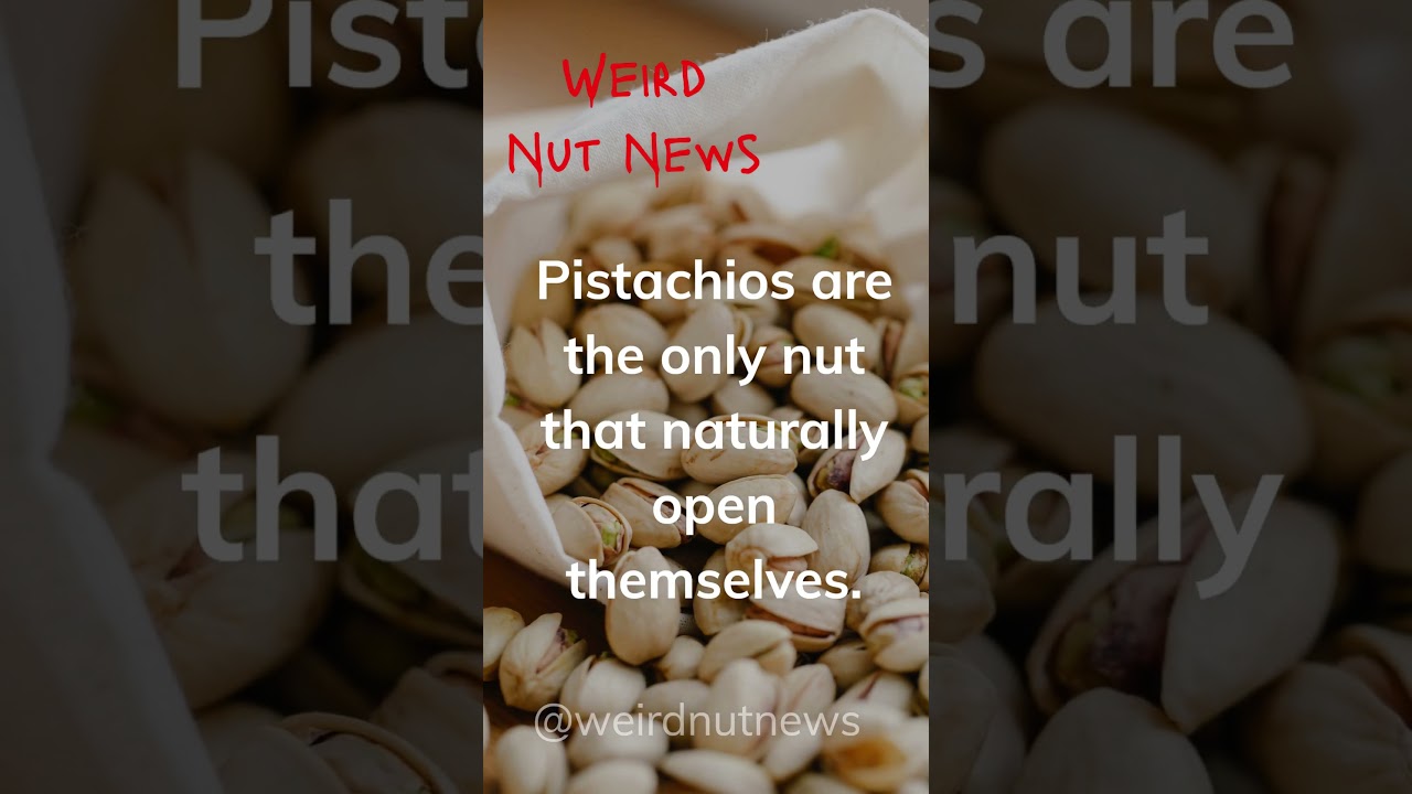 PISTACHIOS-EASY OPEN NUT!  