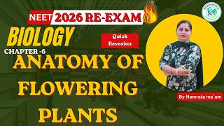 RE-NEET 2026 Biology Chapter 6 Anatomy of Flowering Plants | NCERT One Shot Revision BY Namrata maam
