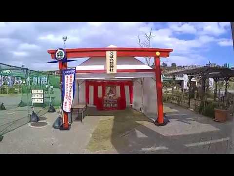 【2017東京ヤクルトスワローズ浦添キャンプ】つば九郎神社