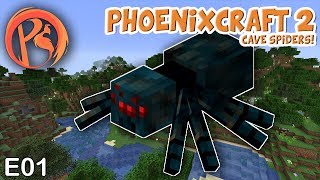 Famous Phoenixcraft 2 E01: Cave Spider Farm. String, eyes and XP! Net Worth