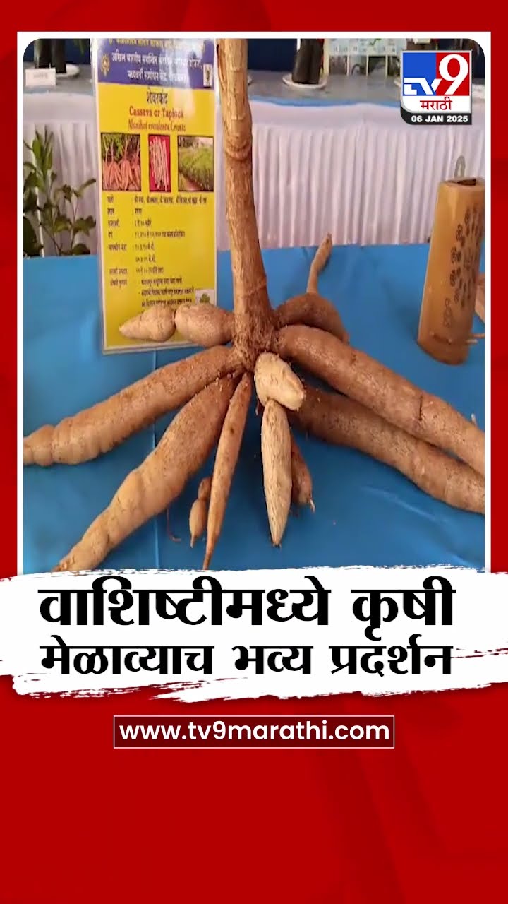 Chiplun मधील वाशिष्टीमध्ये कृषी मेळाव्याचं भव्य प्रदर्शन | tv9 Marathi