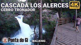 [4K] MARAVILLOSA expresión de la naturaleza [CASCADA LOS ALERCES] verano 2023 BARILOCHE - PATAGONIA