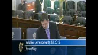 Thomas Byrne Wants Staghunt Ban Reversed