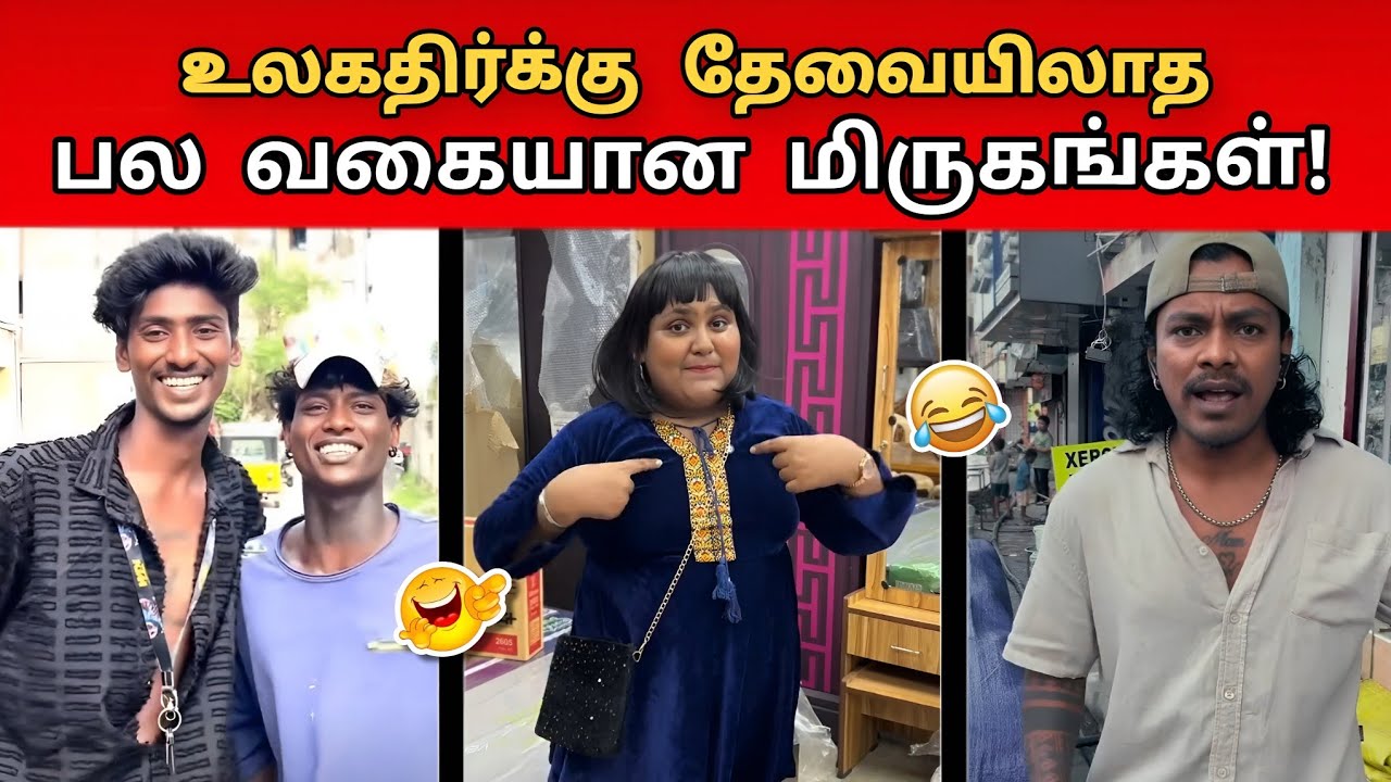 💥😱 Ulagathukku Thevai Illatha Sila “Mirugangal” 😂 | Ultimate Tamil Troll Comedy | Wait For End 🤣