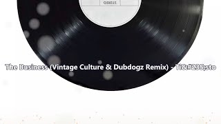 The Business (Vintage Culture & Dubdogz Remix) - Tiësto