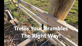 HOW to BUILD  a RaspberryBlackberry TRELLIS That Will Hold UP