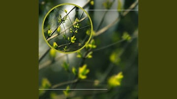 Remarkable Resting Easy