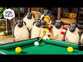 「ヒツジたちのトーナメントの興奮」🐑✨🐶🎱 | ひつじのショーン 公式チャンネル