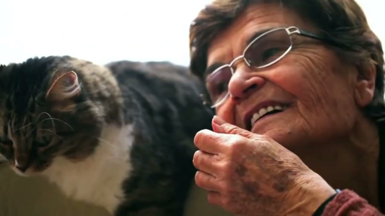 The SHOCKING Reasons Why Your CAT Chooses YOU - Secrets of Feline Attachment REVEALED