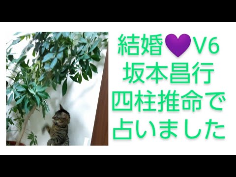 V6坂本昌行結婚💜四柱推命他で占いました