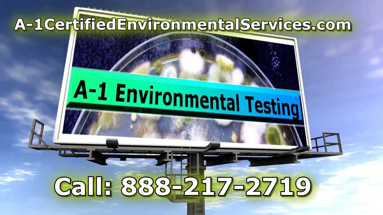 Toxic Black Mold Testing for Apartments